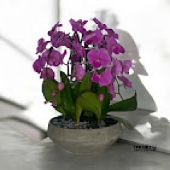 Seller Image